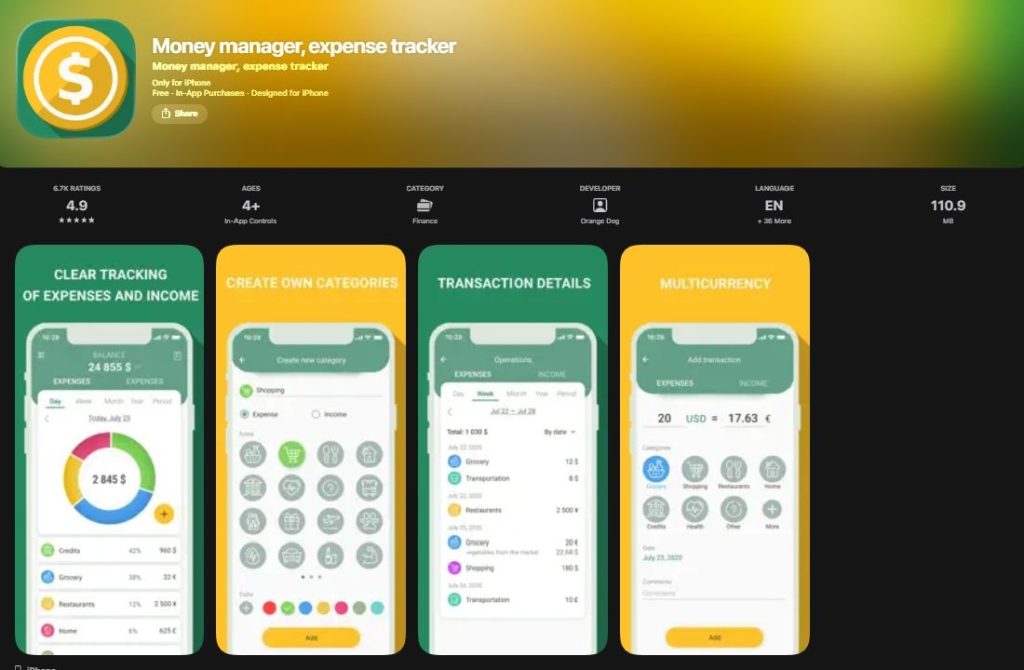 money manager expense tracker